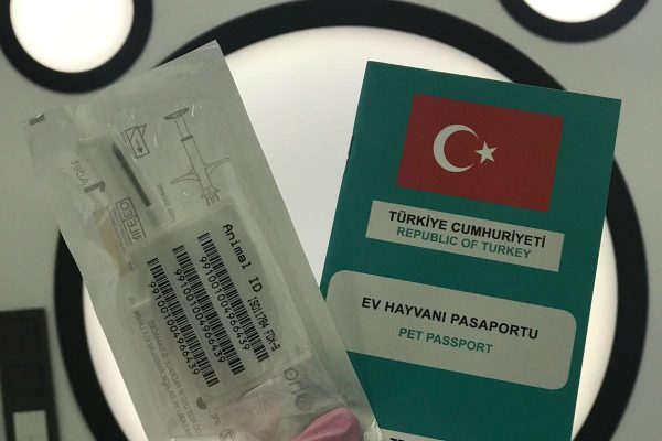 Dostunuzun Artık Pasaportu VAR…