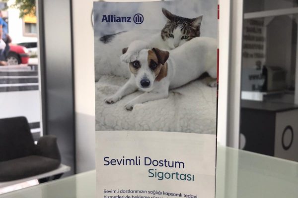 Pet Sigorta Anlaşmalı Veteriner Klinikleri İstanbul