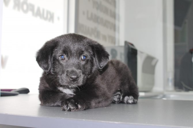 Sağlıklı bir yaşam için aşı programı