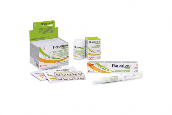 FLORENTERO ACT