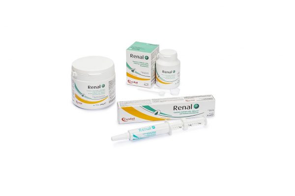 RENAL P VE RENAL P MACUNU