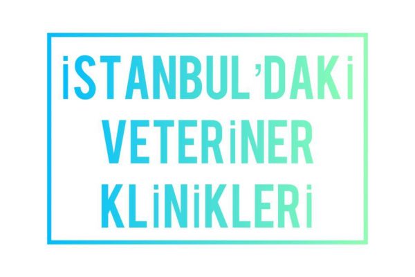 İstanbul Avrupa ve Anadolu Yakası Veteriner Klinikleri