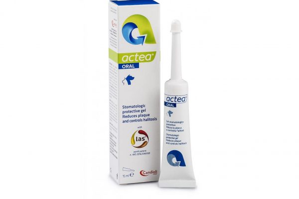 CANDİOLİ ACTEA ORAL