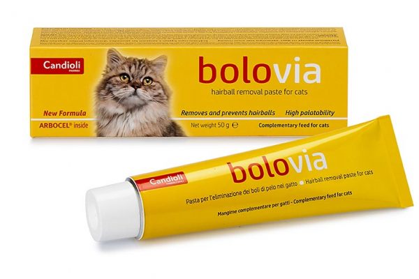 CANDİOLİ BOLO VİA MALT